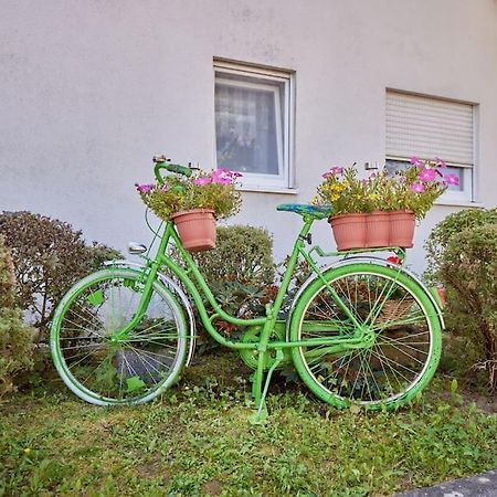 Ferienwohnung Mona - Idyllisches Oertchen Buchen  Exterior foto